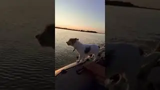 Отдых на северный двине Архангельск
