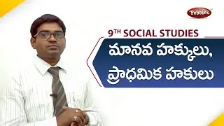 9th class | social studies | Telugu Medium |మానవ హక్కులు, ప్రాథమిక హక్కులు ​|Telugu Explanation