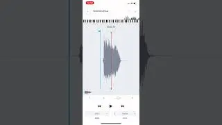 Goofy ahh scream AudioStretch