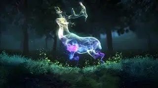 Magical Nature Particles Intro - After Effects Template
