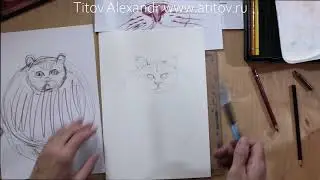 Как нарисовать глаза у кота. Урок 3. Учимся понимать строение глаза