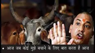 गौवंश को बचाओ | Save the Ox and Cow , Buffalo | They are our true gaurdians. #2024