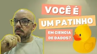 Você é um 