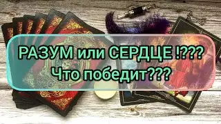 ✅🔯💖🔯✅ РАЗУМ ИЛИ СЕРДЦЕ❓💖 ЧТО ПОБЕДИТ⁉️⁉️⁉️⁉️⁉️⁉️⁉️ 💖💖💖💖💖💖💖💖💖💖💖💖💖💖