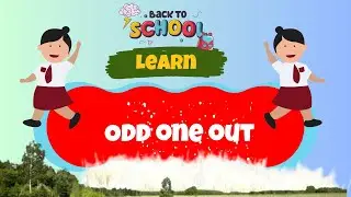 learn the odd one out | find the odd one out