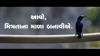 SAVE BIRDS SAVE CREATION