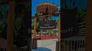 Lakshadweep 🏝️ #island  Must visit islands #shorts #Youtubeshorts #viral #shortsvideo #viralshorts