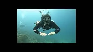 Poseidon Dive Center Diving in Taganga