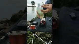 Всем хорошего отдыха на рыбалке 😂😂😂💯 #рыбалка #нидерланды