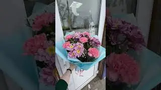 Нежнятинка в ленту..🌷 #букет #упаковка #флористика #цветы #flowers #флористикадляначинающих