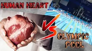 5 Amazing Facts about human heart 🫀 || Human Heart Facts in Hindi ||