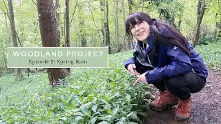 A VERY Wet May: Spring time Woodland Photography.