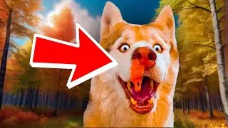 RED Snot!! The best episodes of the fall!! Husky Bagel Talking Dog