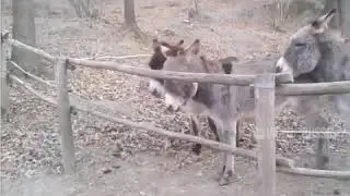 Друг всегда поможет))