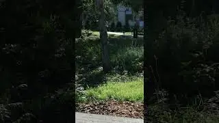 Скамеечки ждут! Присядьте отдохнуть!