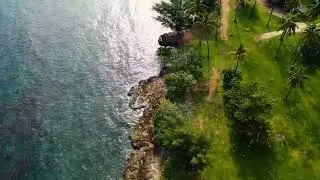 Background video in react app