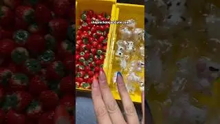 POV: MAKING STRAWBERRY COW MILK🍓🐮🥛part 1 shopnicholejacklyne.com