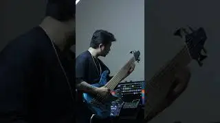 Dingwall NG3: Slap & Tapping Mastery = 🔥