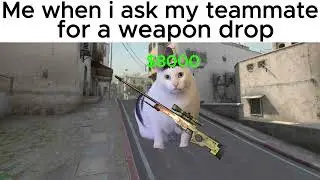 Greedy teammate in Counter strike 2 be like....