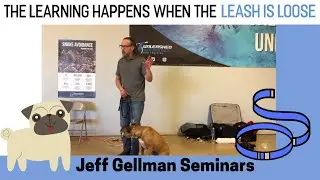 The Learning Happens when the Leash is Loose - Jeff Gellman Seminars (2019)
