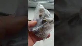 30 июня 2023 г.