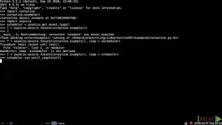 28   Using the asyncio Event Loop and Coroutine Scheduler