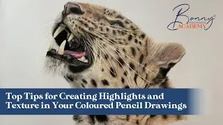 Top Tips for Creating Highlights and Texture in Your Coloured Pencil Drawings