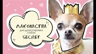 Лакомства для чихуахуа .Лакомства для крупных пород . Лакомства  Secret для дрессировки собак