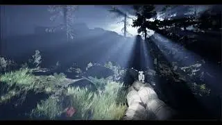 Test forest HG UE5