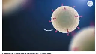 Coronavirus report - Part 1 for April 13, 2020