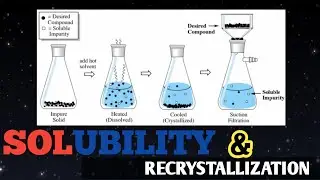 Solubility and recrystallization of organic compounds- EXPT. 2