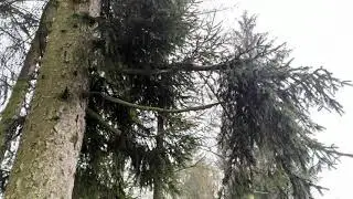 DJLаva - боль души...