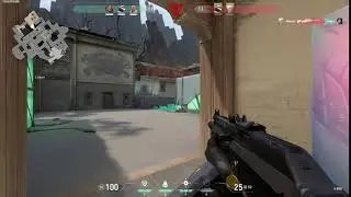 Valorant: Deleted