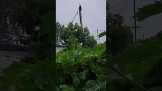 Spending vacation watching rain in Nepal