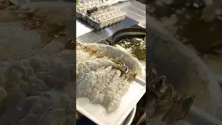 새우, 오징어, 고구마 튀김!│Fried shrimp, squid, potato