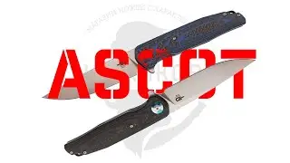 ОДИН ИЗ ЛУЧШИХ СКЛАДНЫХ НОЖЕЙ?! || Bestech Ascot!