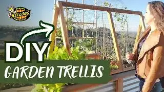 How To Build a Cucumber Trellis for Raised Beds