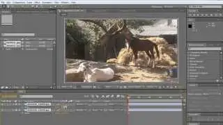 After Effects Split Transition Tutorial