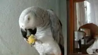 Жако Андрюшка