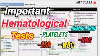 BLOOD TEST HACK😱: Hb%, WBC, RBC, ESR, Platelets Explained! 😱😱🧪🧪@MLTclass 🩸