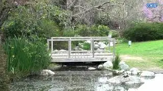 04 LA County Arboretum part 2