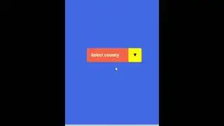 How to use Select Tag With Option in Html Css 