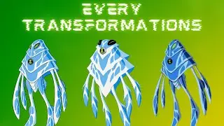 EVERY AMPHIBIAN TRANSFORMATIONS
