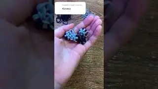 Как просила котик🐱@Sonka-ponka456 🐱Кого хотите увидеть следующим?