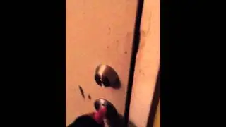 Best bathroom ever!