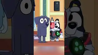 The Father of Bluey's Child 