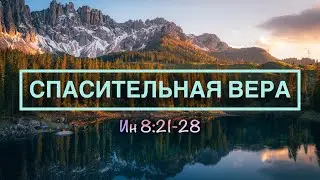 Спасительная Вера | Руслан Мартынов (20.07.23)