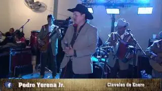 PEDRO YERENA JR. CLAVELES DE ENERO.