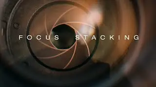 FOCUS STACKING - The BEST method in Photoshop