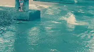 Чеченцы  отдыхают
